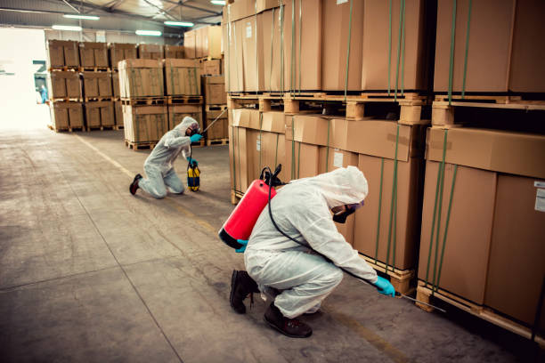 Best Residential Pest Control  in Feather Sound, FL