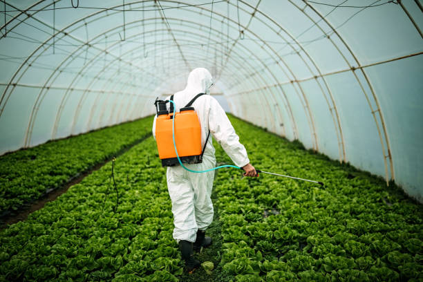 Best Pest Removal Services  in Feather Sound, FL