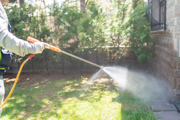 Best Bird Control  in Feather Sound, FL