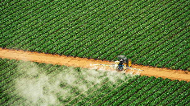 Best Local Pest Control Services  in Feather Sound, FL