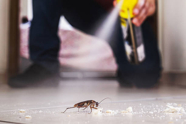 Pest Prevention Services in Feather Sound, FL