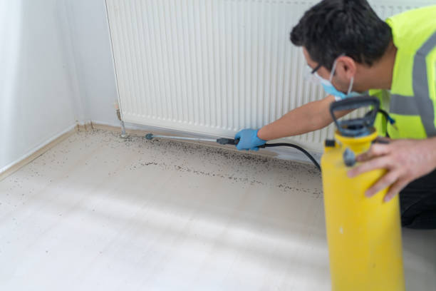 Best Best Pest Control Companies  in Feather Sound, FL